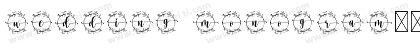 Wedding Monogram字体转换